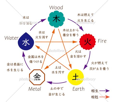 五行 体の部位|五行説の概要と人体との関係 